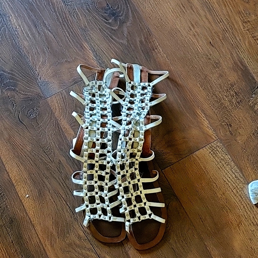 Jeffrey Campbell gladiator sandals